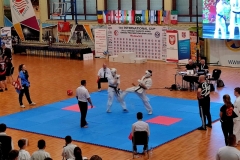 Międzynarodowy Turniej Karate Seikyokushin